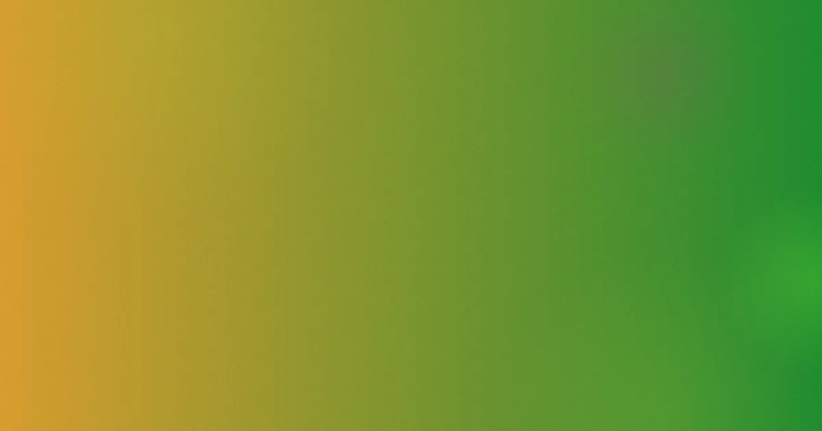 亲爱的麻洋街推荐：新手入坑